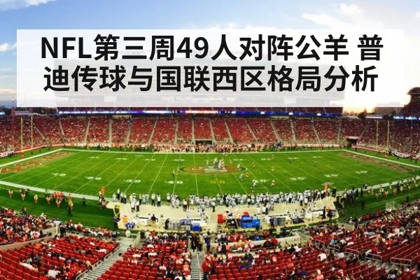 nfl stadium crowd